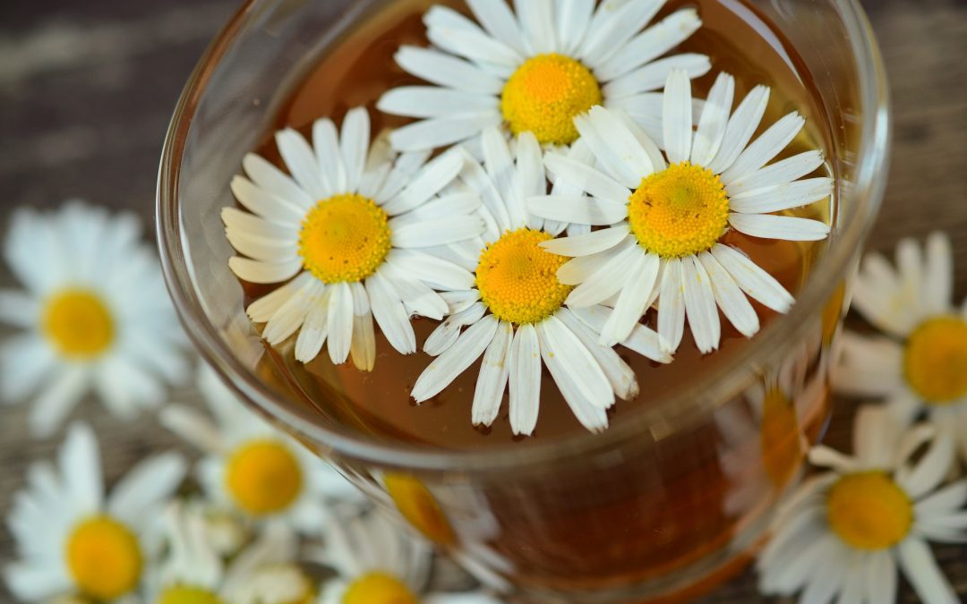 Remedios naturales para los dolores más comunes