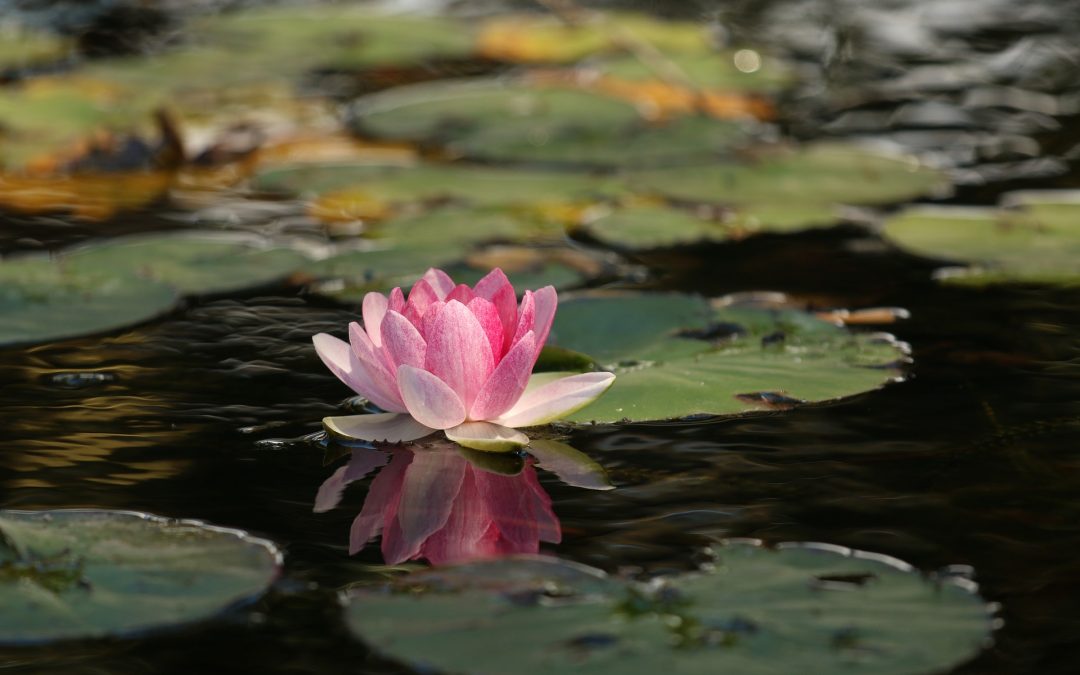 Cómo salir de una depresión ayudado por la meditación