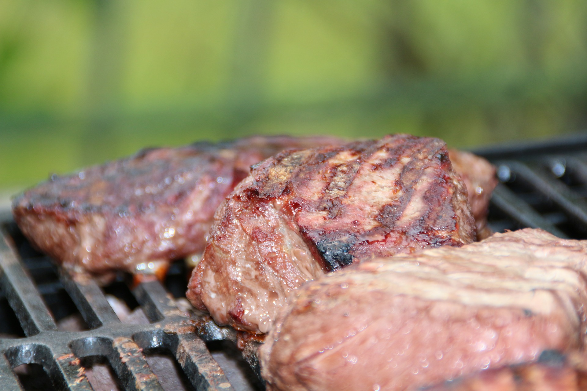 Intentemos reducir el consumo de proteína animal