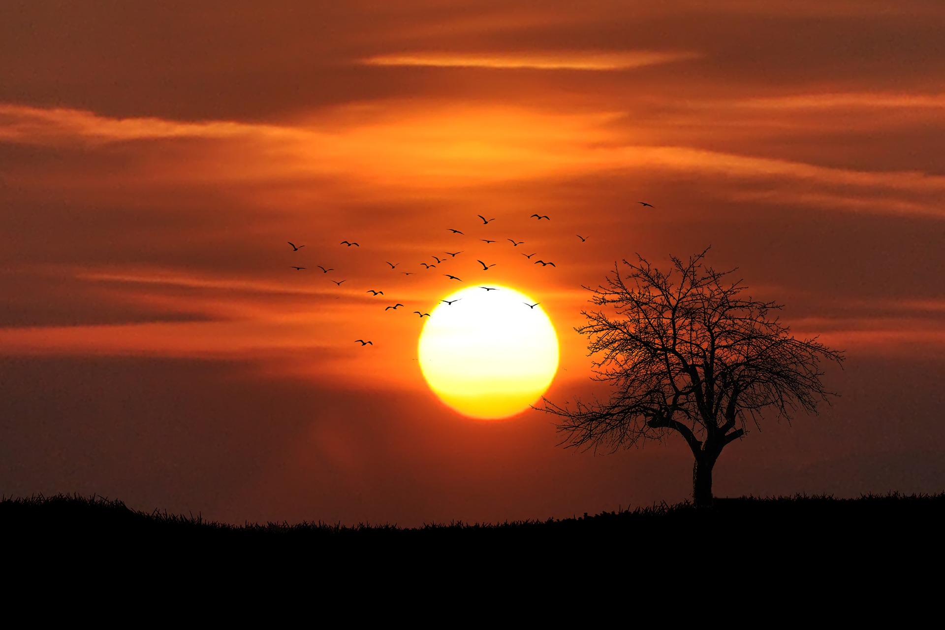 Beneficios de tomar el sol de la manera más sana