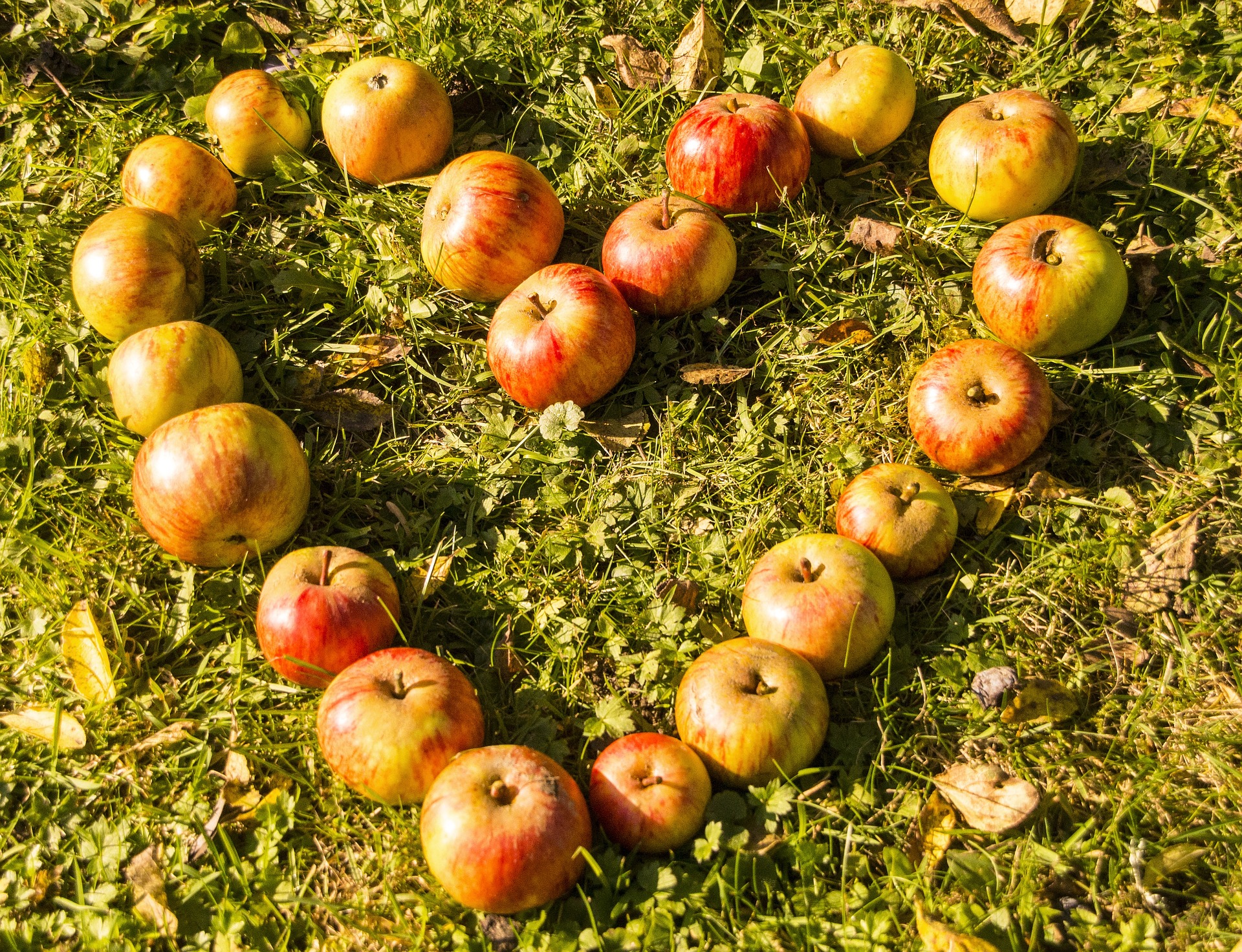 Alimentación consciente