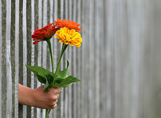 Flores con empatía