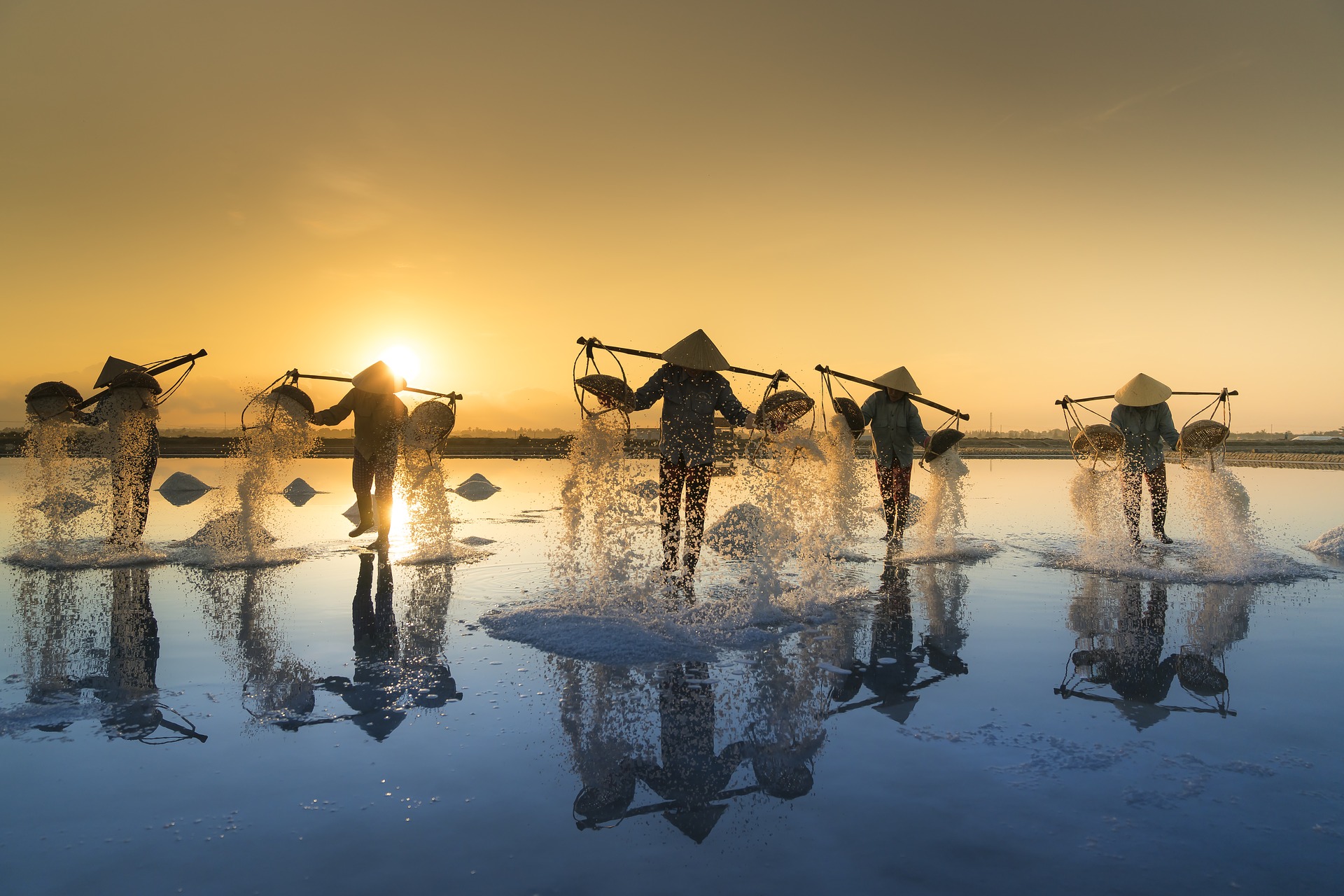 Vietnam, campo de sal