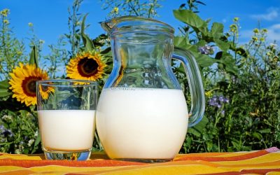 – Mitos y verdades sobre los productos lácteos