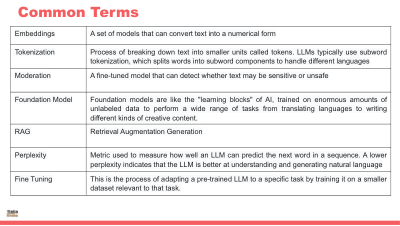TERMINOLOGY LLMS