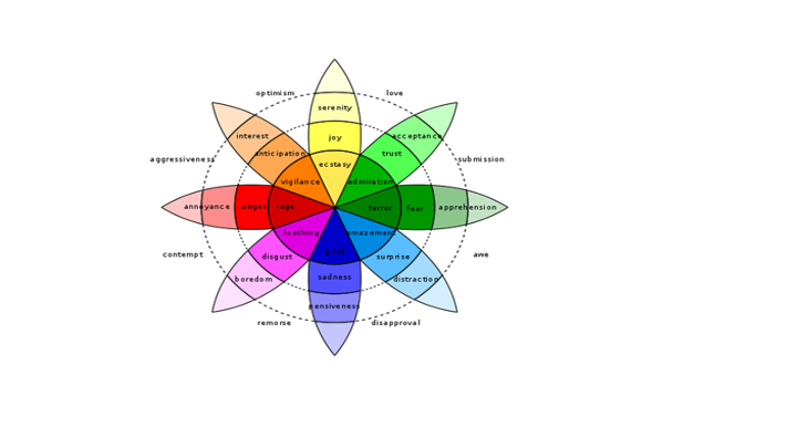 EMOTIONAL WHEEL