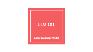 LLM Overview
