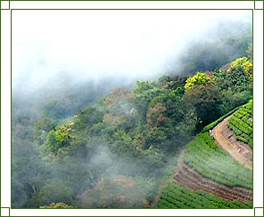 Umrangshu, Umrangshu hill station, east india hill stations