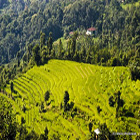 Kalimpong Hill station