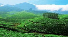 munnar hill station