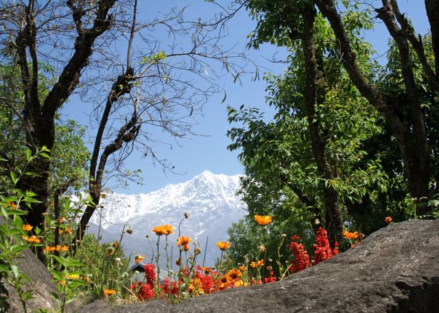 Dharamsala hill station, hill stations in india, north india hill stations, Dharamsala