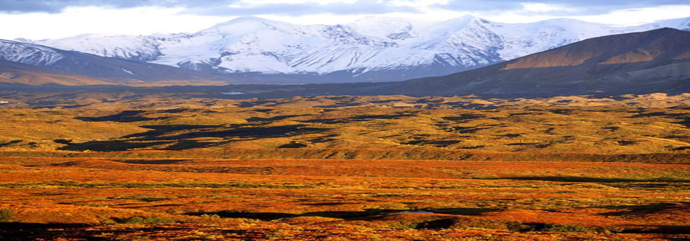 Denali National Park, Alaska