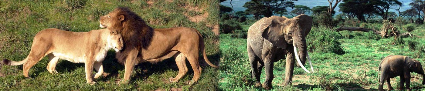 Pachmarhi
