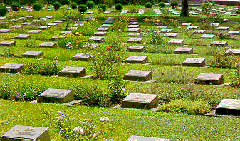 Cemetry of soldiers who died in World War II