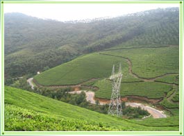 Hills_of_munnar