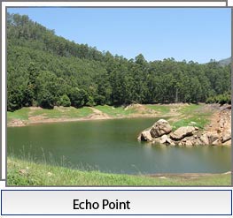 echo-point