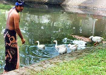 Kumarakom Bird Sanctuary