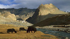 ladakh hill station, ladakh