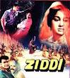 Ziddi