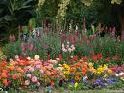 Agri Horticultural Garden