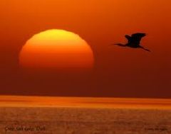 Antelope Island