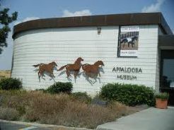 Appaloosa Museum