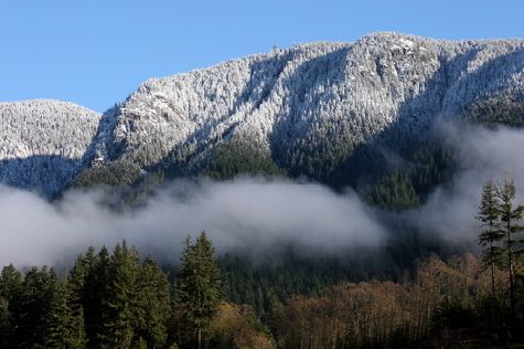 Grouse Mountain