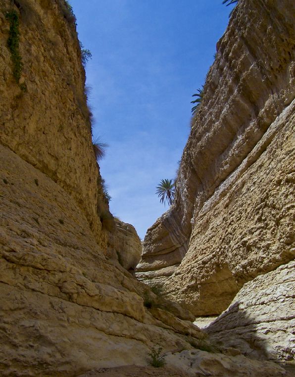 Jebel ech Chambi