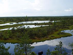 Kemeri National Park