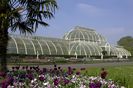 Kew Gardens