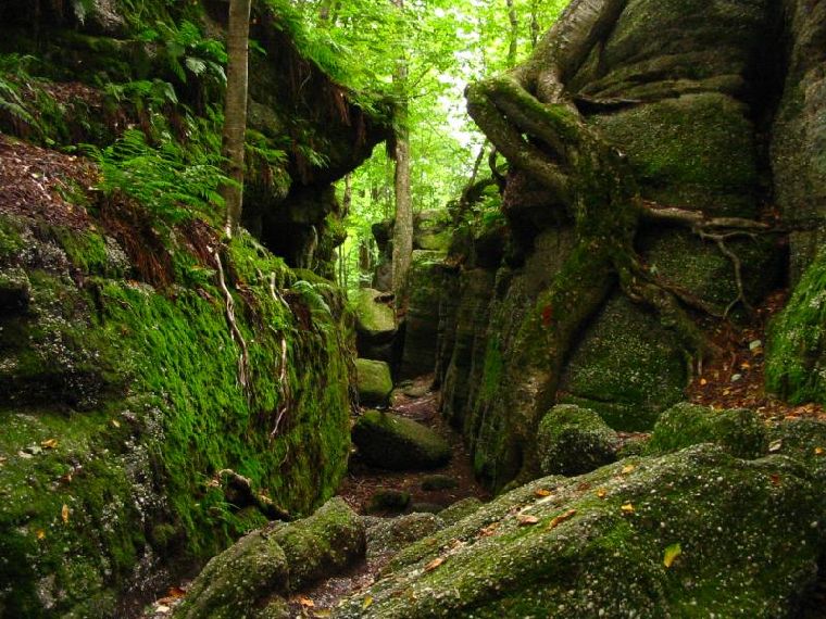 Ledges State Park