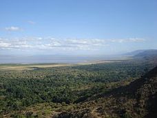 Manyara