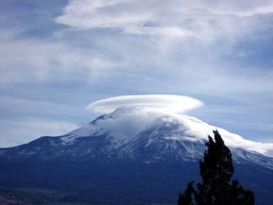 Mount Shasta