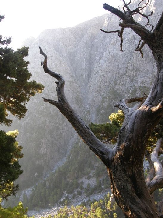 Samaria National Park