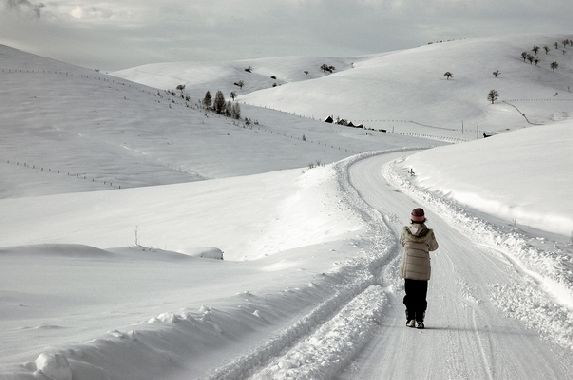   Zlatibor Mountain