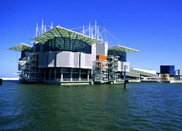 Lisbon Oceanarium  