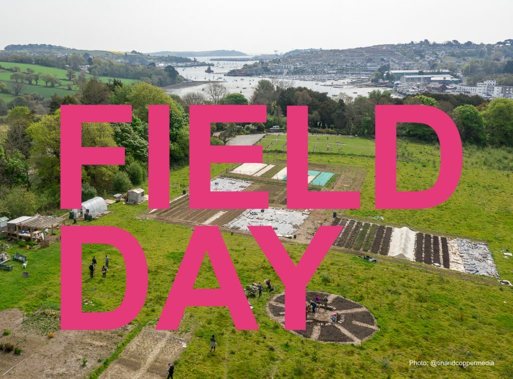 Small Acts Field Day Photo Tinand Copper Media 1024x757