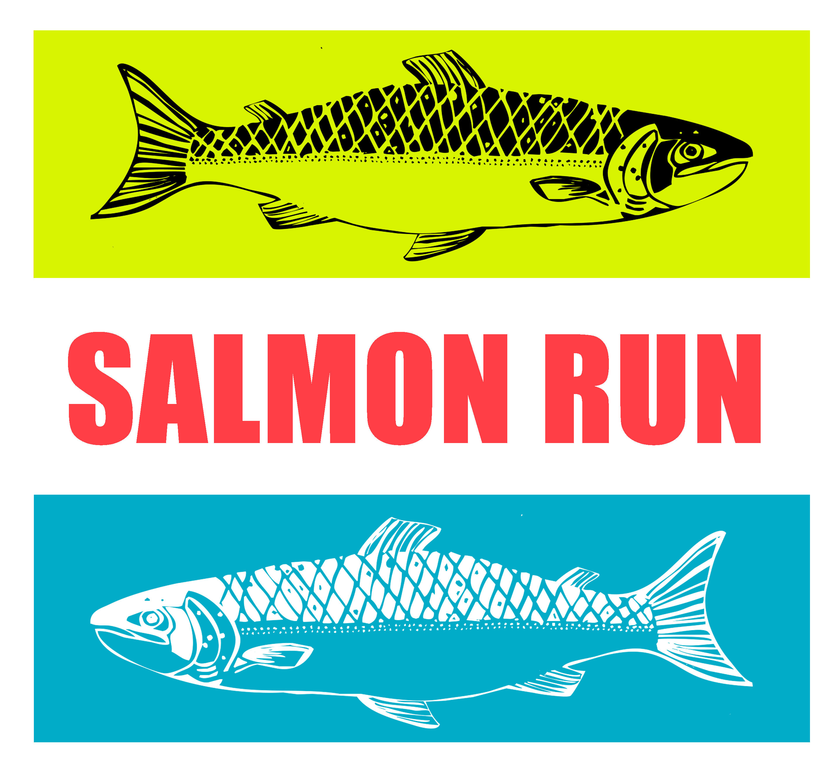 Salmonrunbib5 J