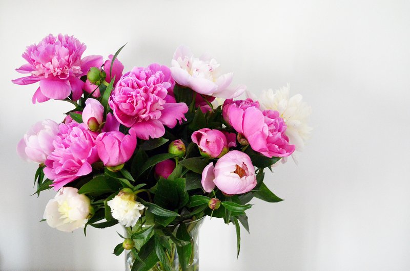 A bouquet of pink and white peonies in a clear glass vase.