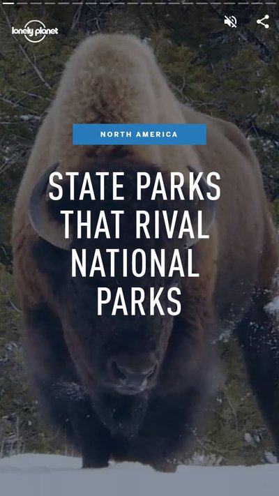 Buffalo walking in snow with text "State pars that rival National parks"