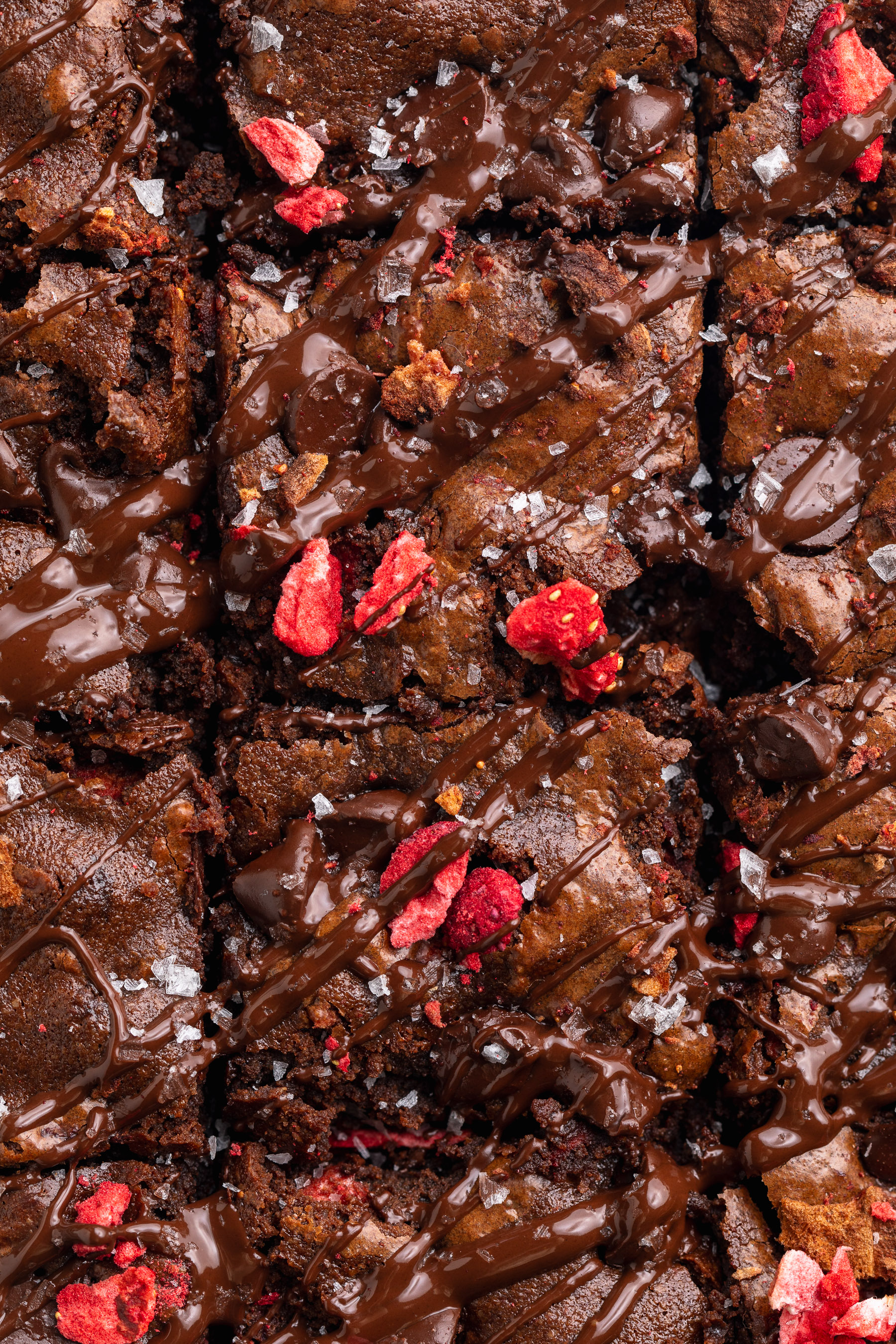 Prévia da capa do mídia kit para samdoesherbest