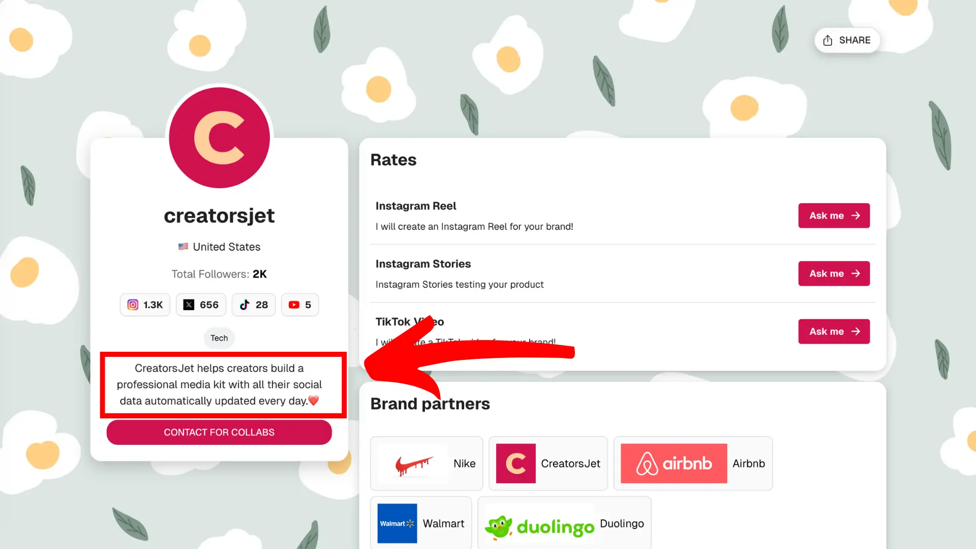 Influencer media kit about you section example