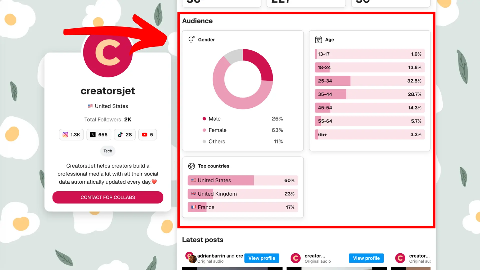 Influencer media kit audience demographics example