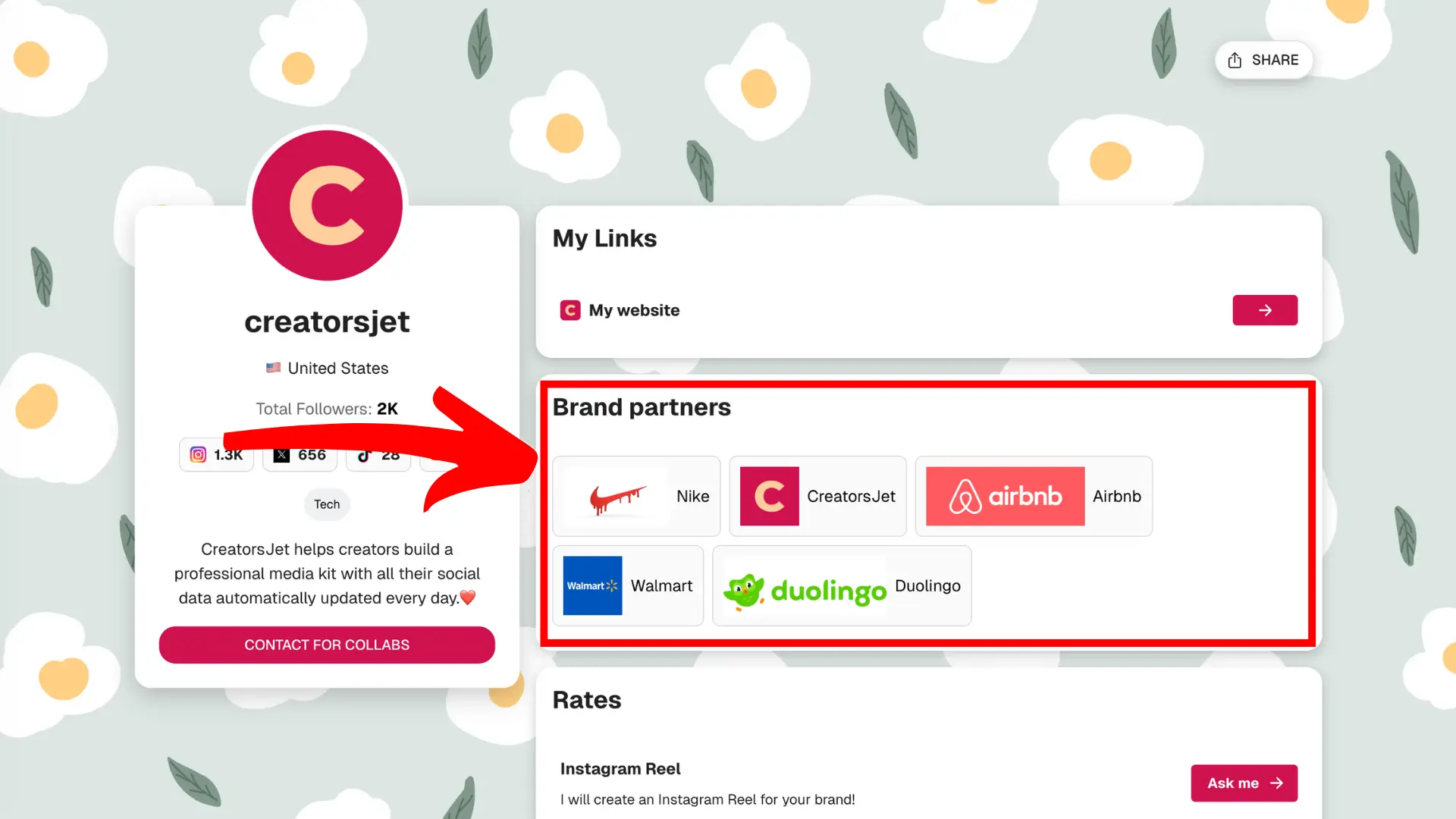 Influencer media kit past collaborations