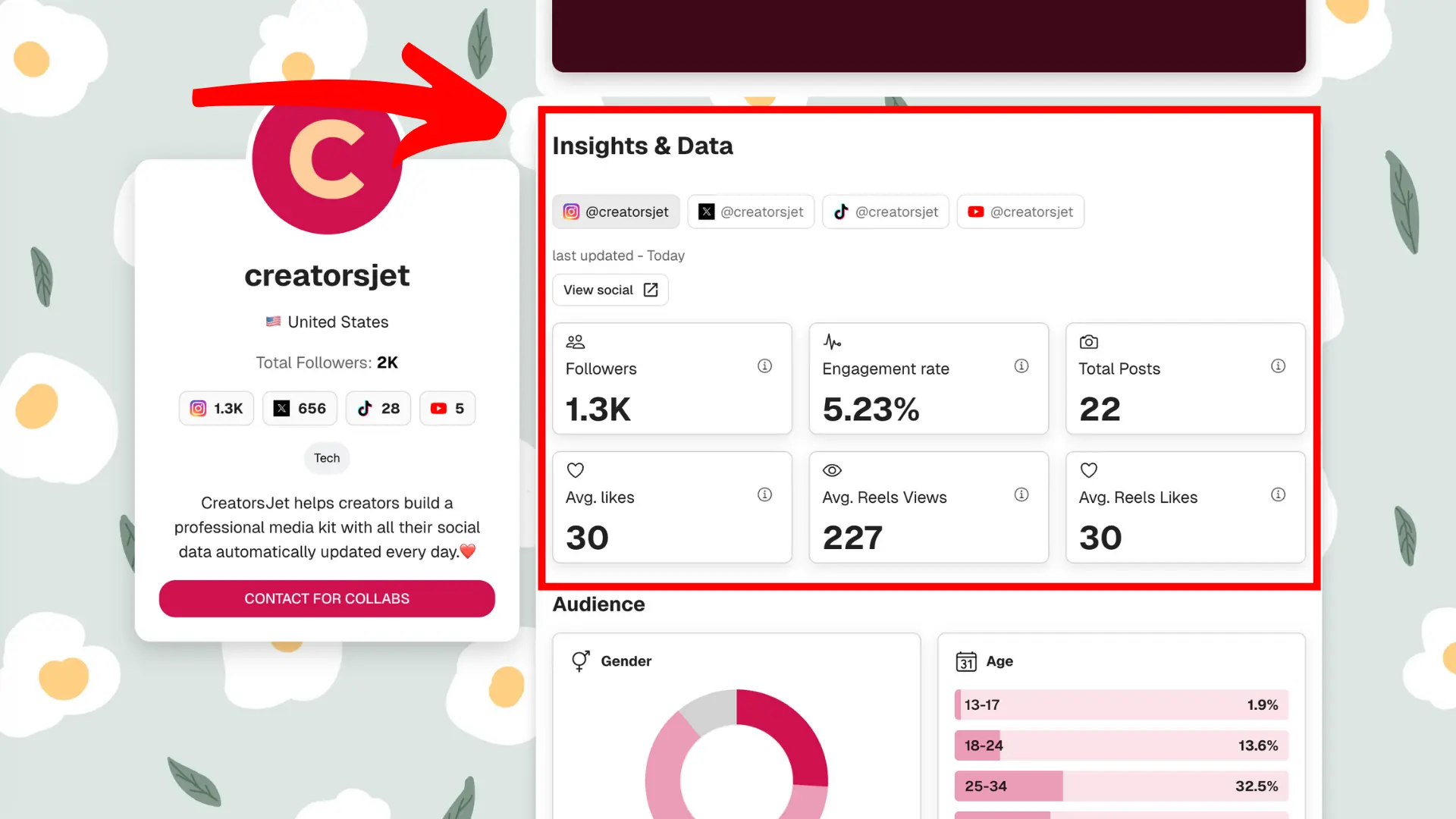Influencer media kit performance metrics and social stats example