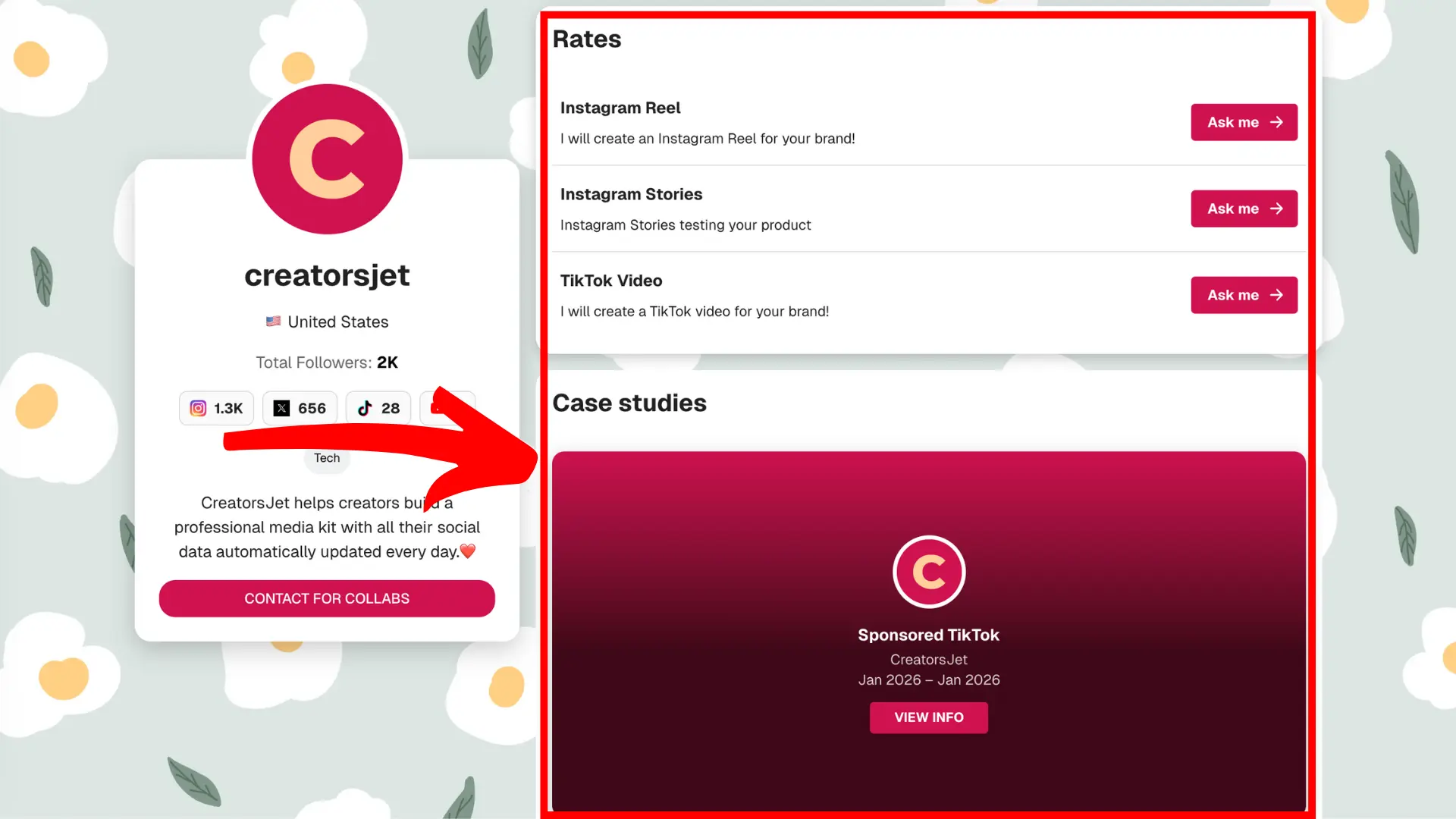 Influencer media kit services and deliverables