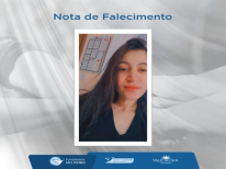 ALINE BEREZOSKI HENDGES