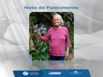 OTILIA ANDRIGHETTI SUSIN