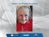 ELVIRA HEEMANN WILLWOCH