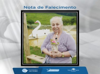 TEREZINHA ALVES DE OLIVEIRA